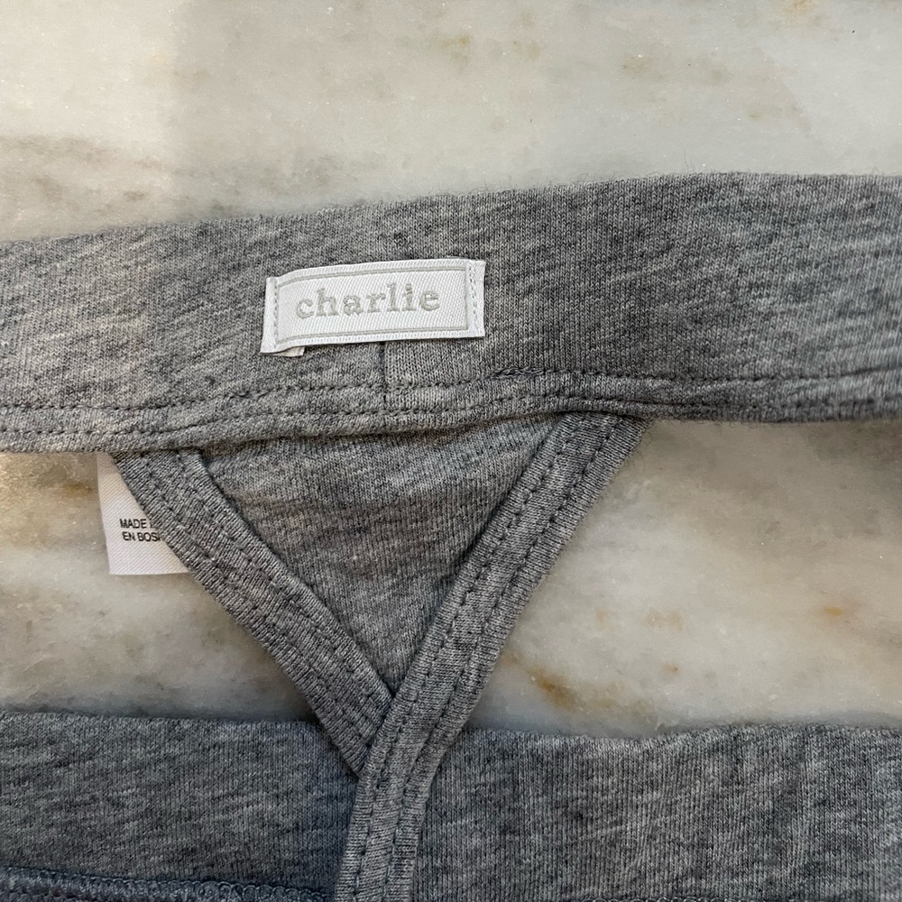 EUC Charlie by MZ essential thong. Gray. Small.